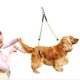 thumbnail image 1 of Correa de aseo para mascotas, correa ajustable para el cuidado de mascotas, arnés para el cuidado de mascotas, correa para el cuidado de perros, tecnología de vanguardia, 1 of 5