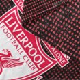 thumbnail image 2 of Liverpool Football Crest Fleece Blanket Throw Soft LFC Warm Sofa Travelling Blanket Mesh Liverpool Soccer Gift, 2 of 6