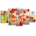 thumbnail image 2 of Beautiful Red Poppy Flowers View - Floral Canvas Art Print, 2 of 3