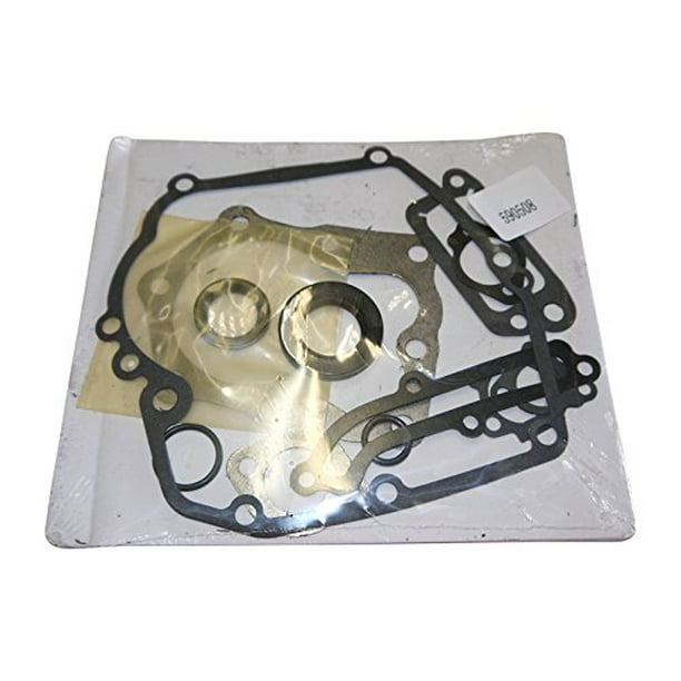 Lumix GC Gasket Kit For Toro 20010 20020 20021 20022 20025 Mower Briggs