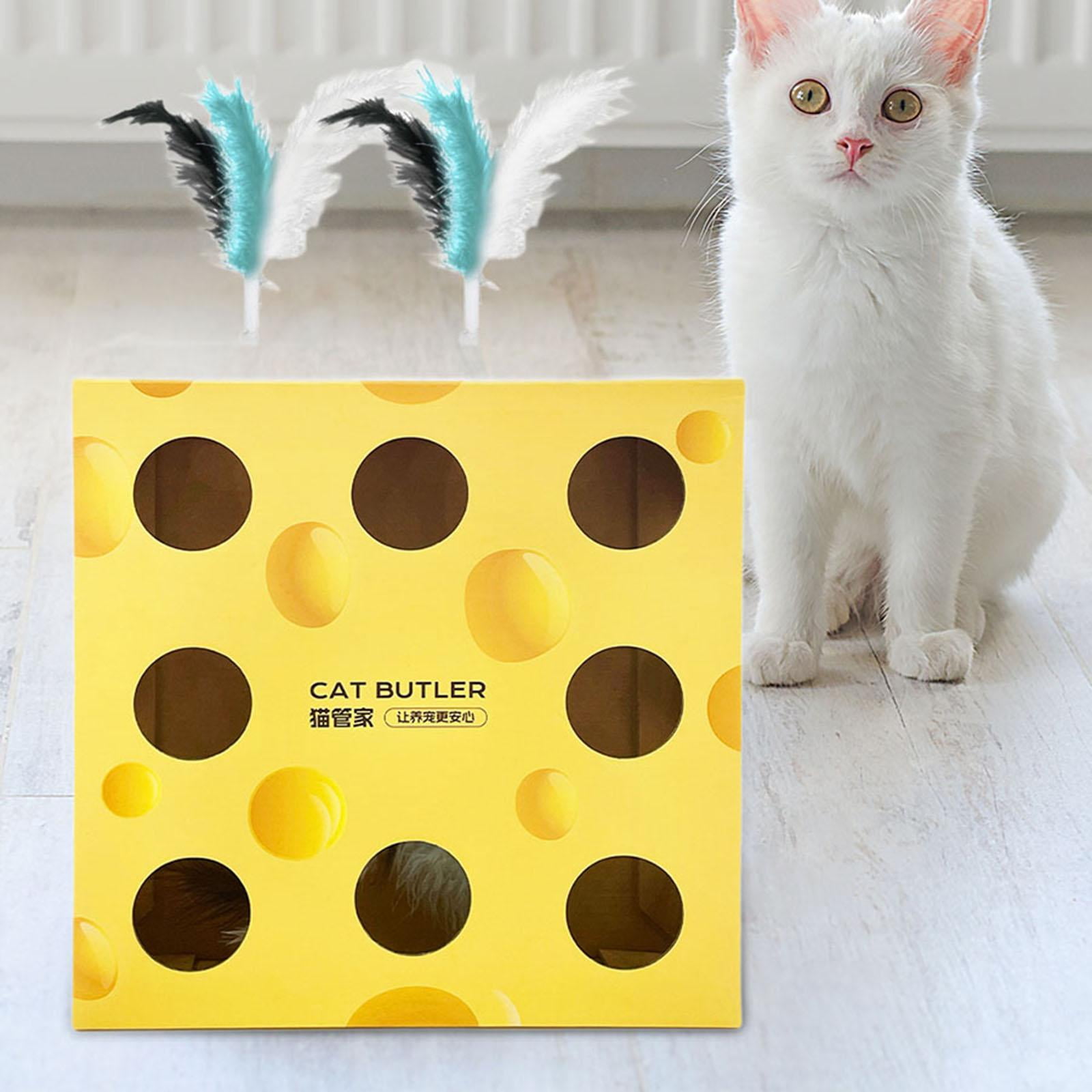 Toysmith Electric Cat Toy Whack A Mouse Cat Toy Feather Toy for Small Medium Cats Cats Cheese Box Feathers