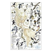 National Geographic Bird Migration, Western Hemisphere Map, Laminated, 20.25" x 31.25"