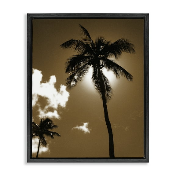 Stupell Industries Sunlight Through Palms Landscape Photography Black Floater Framed Canvas Art Print Wall Art, 17 x 21