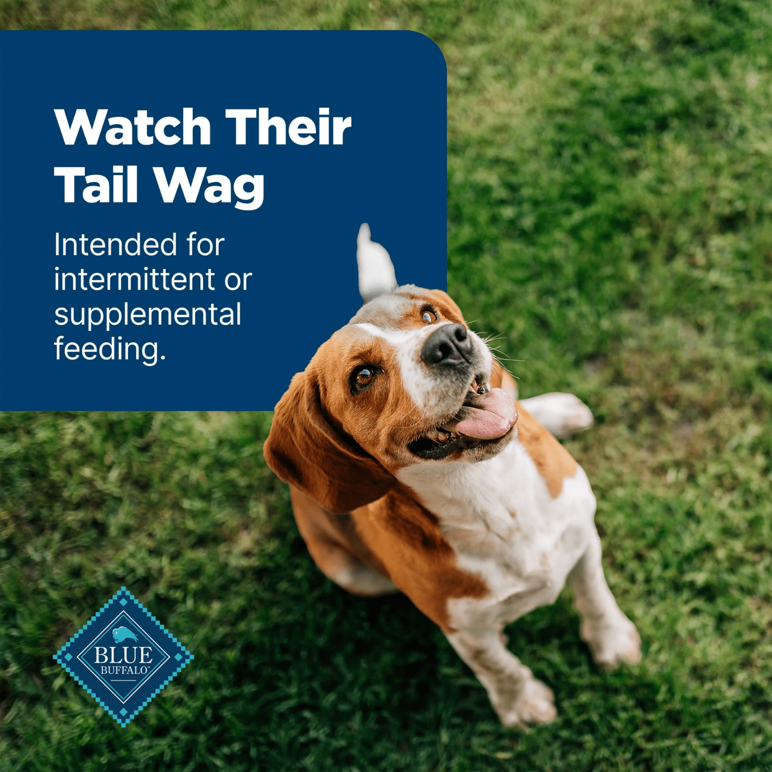 Blue Buffalo Nudges Grillers Natural Dog Treats Made with Real Chicken, 10-oz., BLUE Nudges Grillers Dog Chicken