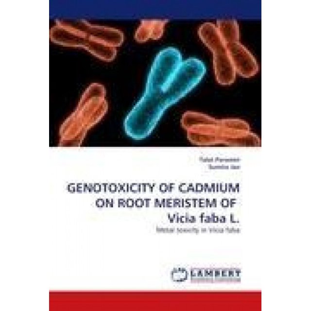 GENOTOXICITY OF CADMIUM ON ROOT MERISTEM OF Vicia faba L.