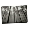 thumbnail image 2 of Gango Home Decor Redwoods II by Brian Moore (Ready to Hang); One 36x24in Hand-Stretched Canvas, 2 of 4