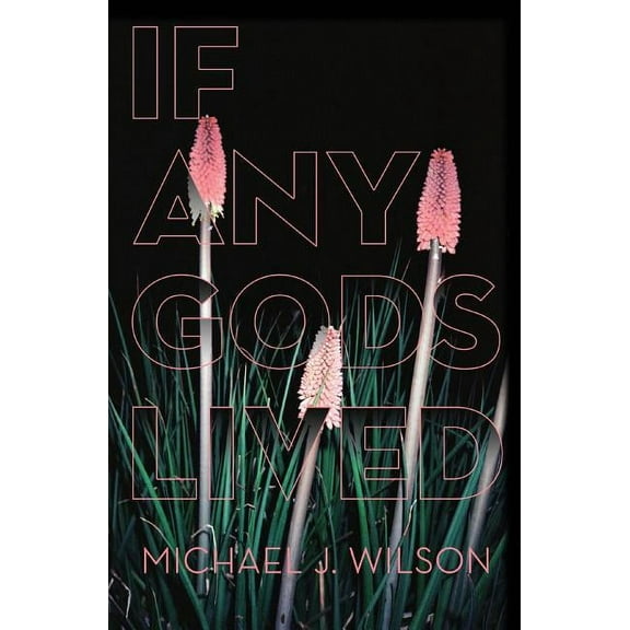 If Any Gods Lived: Poems (Paperback)