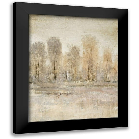 OToole, Tim 12x14 Black Modern Framed Museum Art Print Titled - Peaceful Forest II