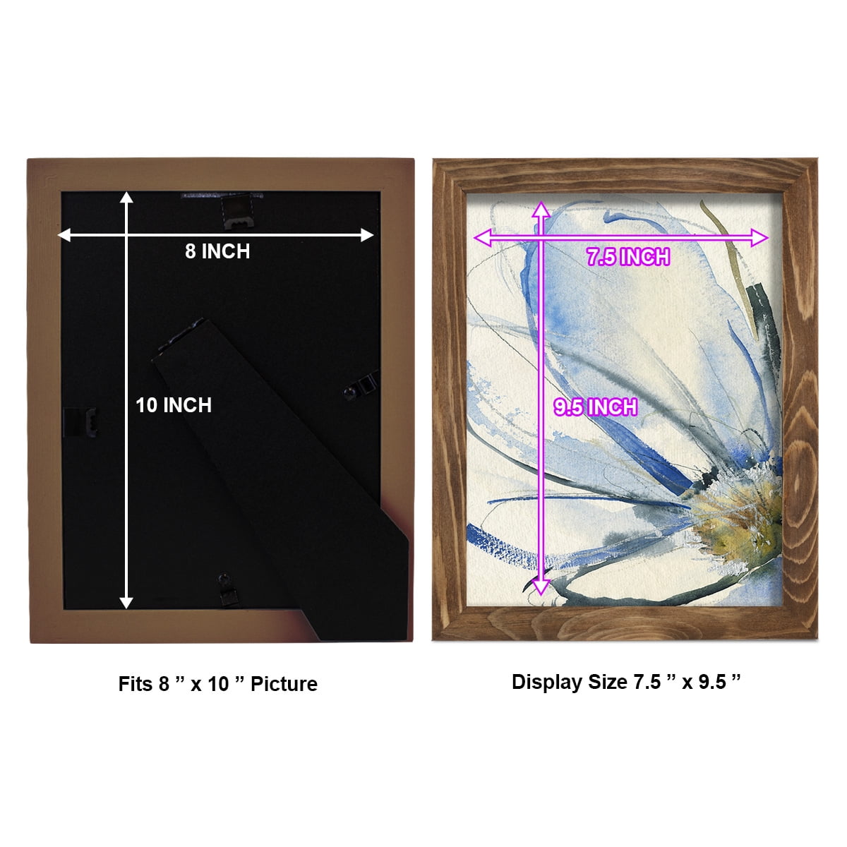 Cobalt & Paynes Petals I - Framed Print w/glass - Walnut