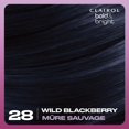 thumbnail image 3 of Clairol Coloration permanente Bold & Bright, 3 of 9