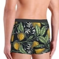 thumbnail image 5 of Naloa Hand Drawn Citrus Fruits Elegant Lemons Print Mens Underwear - Boxers for Men, Classic Briefs for Men, 5 of 9