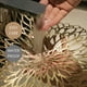 thumbnail image 5 of Los manteles individuales redondos de vinilo metálico dorado laminaron la decoración de la mesa de comedor Morden de plástico JAMW Sencillez, 5 of 5