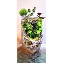 Decorative Terrarium Planter Waterfall Fountain with Stone Design, Live Mixed Plants, Indoor Garden Display, 58 Inch