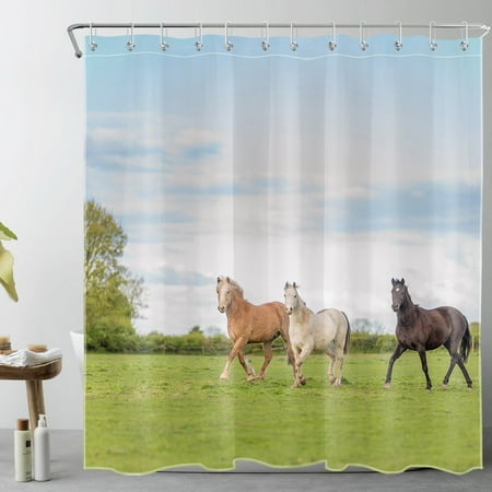 HVEST Farmhouse Horse Shower Curtain for Bathroom, Farm Animaonl Green Field Rustic Nature Fabric Shower Curtain with Hooks,Blue Sky and White Cloud Bathroom Curtains Shower Set, 69x70 inches