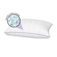 thumbnail image 5 of Bodipedic  Back to Campus 3-Piece Twin XL Dorm Bedding Bundle, 5 of 5