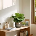 thumbnail image 4 of Ordivic 6 inch Vintage Brown Self Watering Ceramic African Violet Pot with Inner Pot,Indoor Porch Planter for ZZ Plant,Cactus ,Shelf,Table Decor, 4 of 7