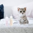 thumbnail image 2 of 6 Pcs 50ML Baby Pet Feeding Bottle - Pointed Nipple Safe Dog Cat Milk Bottle for Small Animal/Cats/Dogs/Puppy/Kitten, 2 of 5