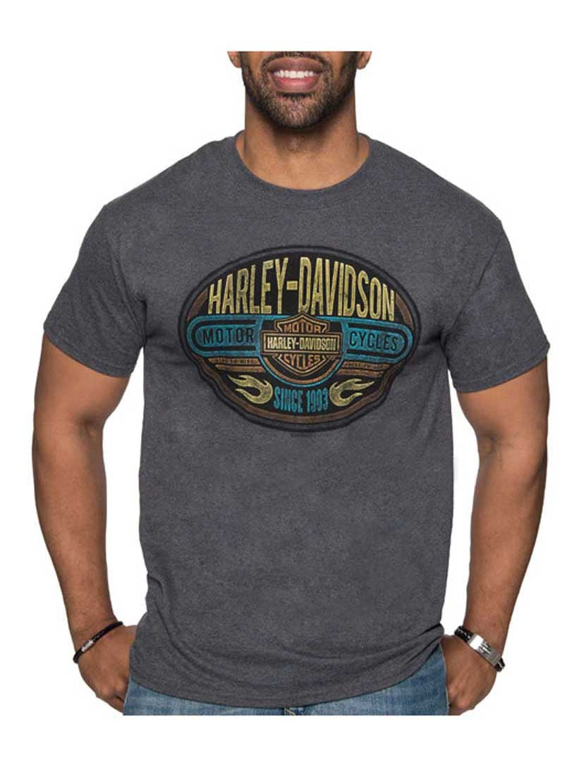 Steel Gray Harley-Davidson Men's Distressed Brawl Premium Short Sleeve T-Shirt 