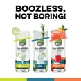 thumbnail image 5 of KUL MOCKS® Non-Alcoholic Cocktail Mixers, Adventure Collection Variety Pack, 0.00% ABV, Award Winning, Ready-to-Drink Cans, 6 pack, 5 of 8