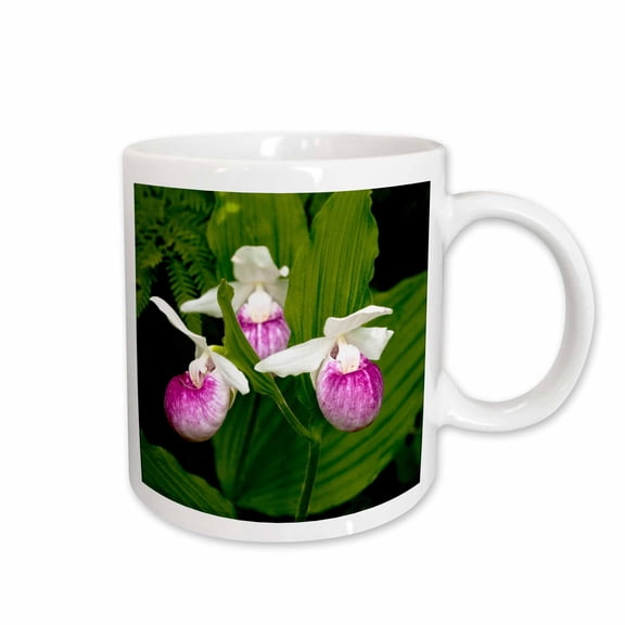 3drose, Mn, Itasca Sp, Showy Lady-slipper Flower - Us27 Pha0000 - Peter Hawkins, 15oz Mug