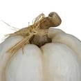 thumbnail image 4 of Northlight 11" Cream Gourd Fall Harvest Tabletop Decoration, 4 of 4
