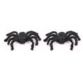 thumbnail image 1 of Araña grande terrorífica de felpa para decoración de Halloween, Casa Encantada, accesorios de terror para interiores y exteriores, suministros de fiesta de gigantes negros, 30/60/90/125cm, 1 of 4