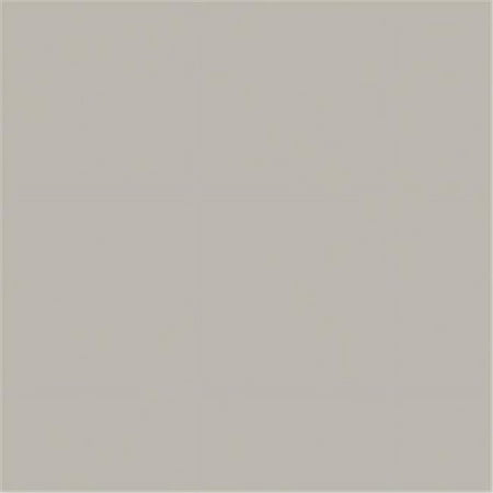 UPC: 0012017730641 | Strathmore 32  x 40  Gray 4-Ply Museum Mounting Board Sheets