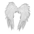 thumbnail image 1 of Accesorios de disfraz de alas de ángel para cosplay para fiestas temáticas de Halloween y festivales. Blanco, 1 of 8