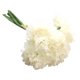 thumbnail image 2 of Xihbxyly Ventas de Liquidación La Flor Más Bella Del Mundo, La Flor Más Bella Del Mundo., 2 of 2