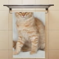thumbnail image 3 of Soft Hand Fingertip Towels, 2 Pcs Face Bath Towels Red Fluffy Sitting Kitten Absorbent Washcloths for Bathroom Hotel Kitchen, 30"x15", 3 of 6