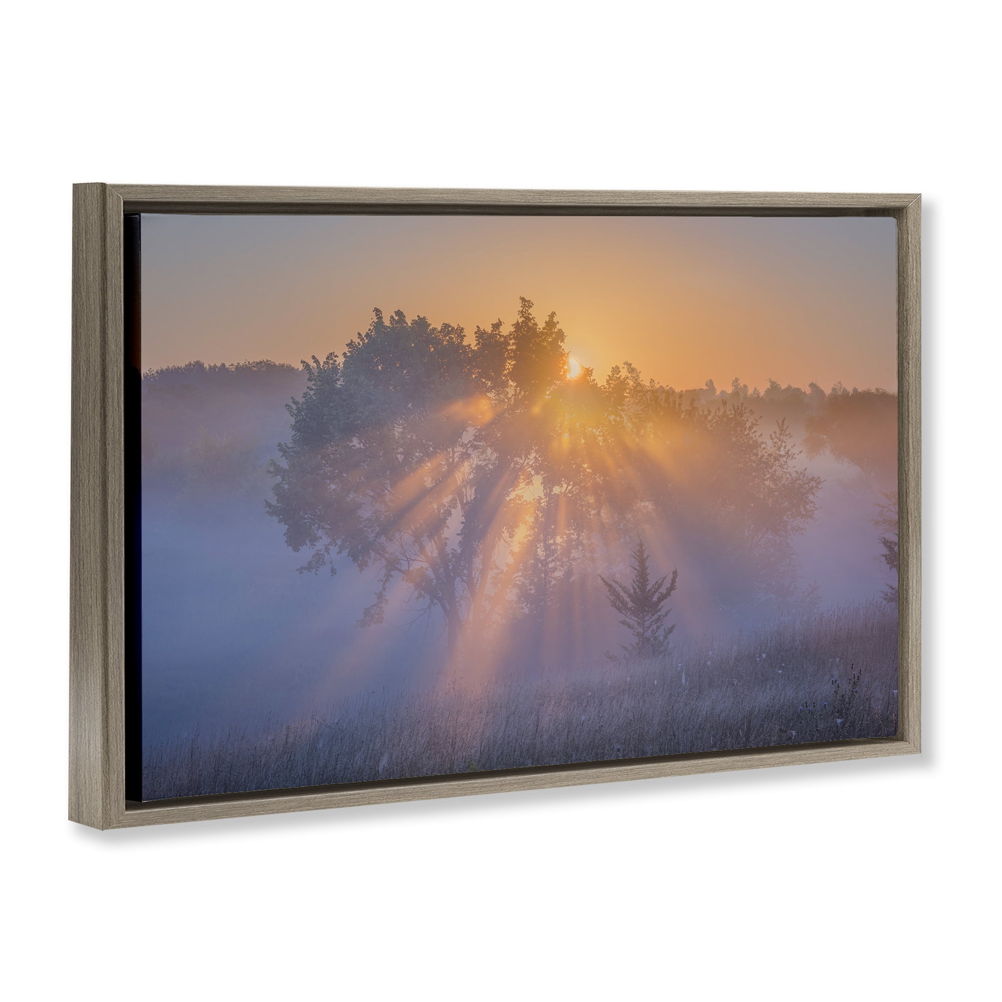 Stupell Industries Sun Rays Peeking Landscape Landscape & Nature Photography Brown Floater Framed Canvas Art Print Wall Art, 25 x 17