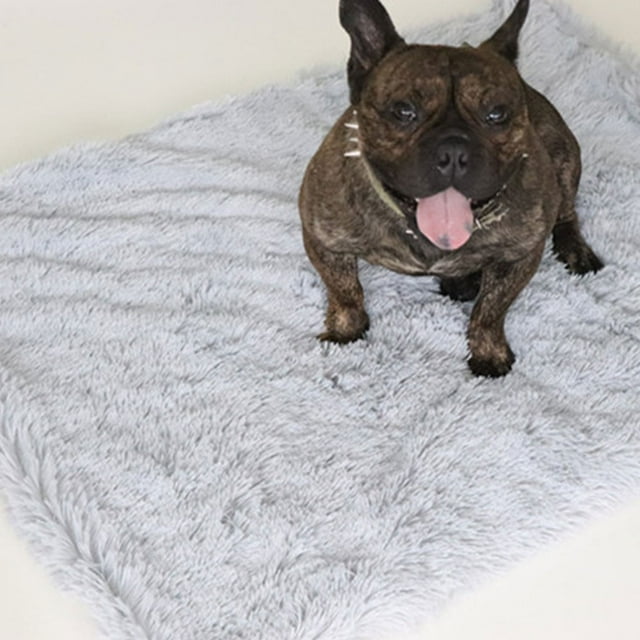 Becaristey Soft And Comfortable Fluffy Pet Blanket For Dogs And Cats Various Sizes Soft Warm Fluffy Pet Blanket dark grey M 1Set