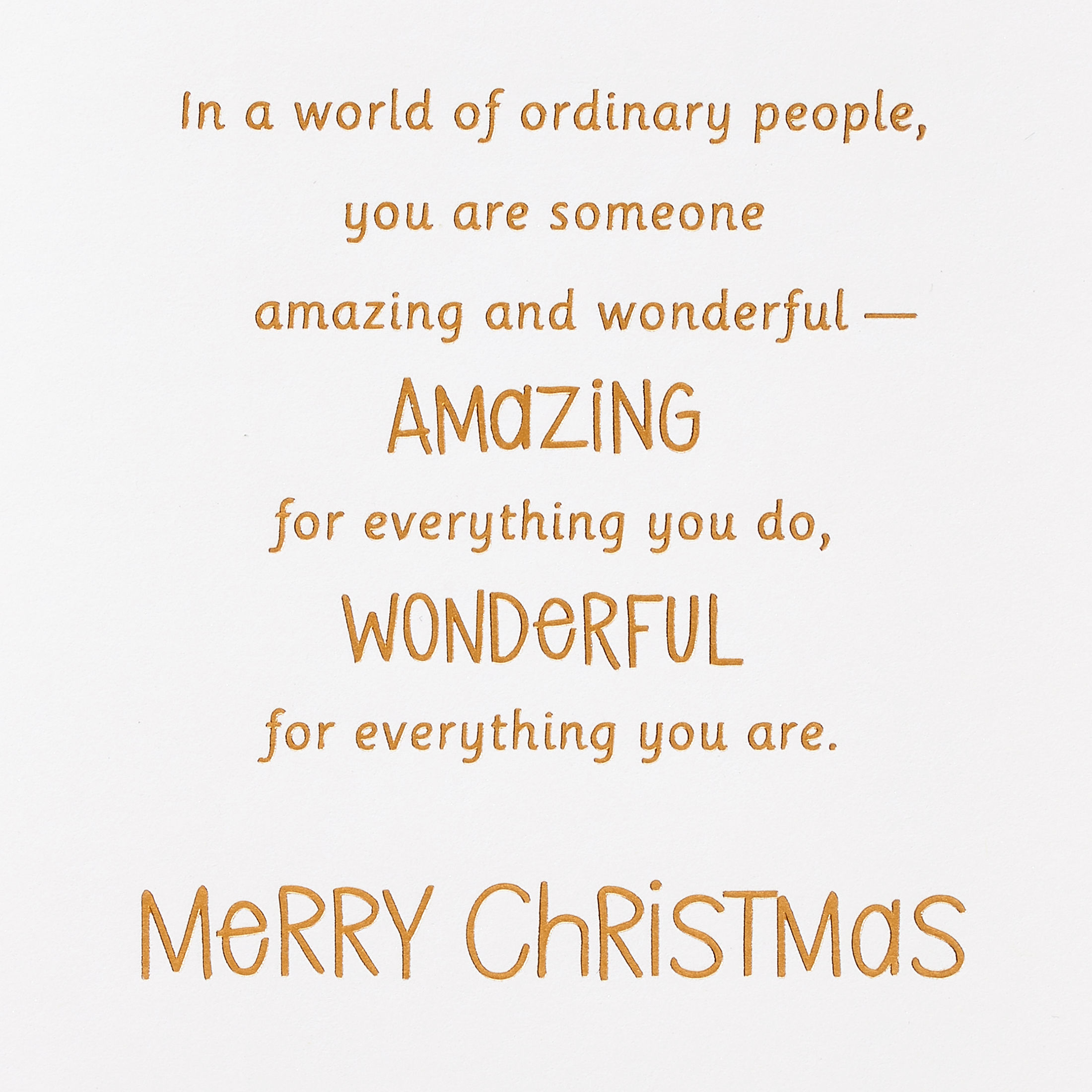 American Greetings Christmas Card for Everyone (Amazing and Wonderful)