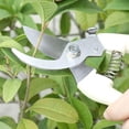 thumbnail image 2 of Garden Shears - Premium Pruning Scissors for Flowers, Bushes, Roses, and Fruit Trees. Ideal for Florists, Yards, and Orchards., 2 of 4