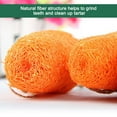thumbnail image 6 of Twoworld 2Pcs Carrot Patch Chew Toys Teeth Cleaner Bite Resistant Bunny Molar Toys for Small, 6 of 6