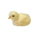 thumbnail image 2 of Juguete Juguete de peluche de pollo simulado, interacción entre padres e hijos, juguete de peluche de pollo de modelado, adornos decorativos AMMAO MXZZ23418A5700, 2 of 2