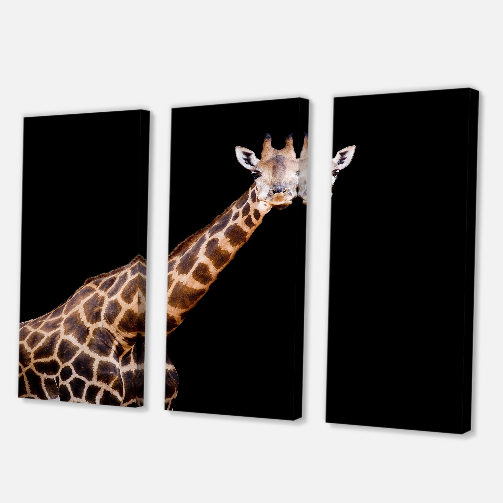 Designart ' Portrait of A Giraffe On Black Background III ' Farmhouse Canvas Wall Art Print