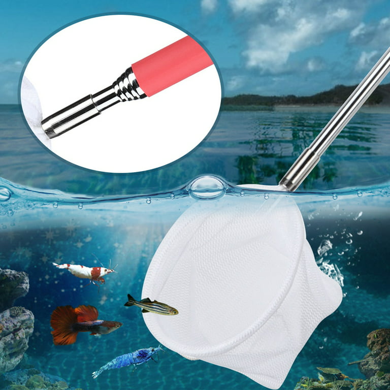 Retractable Long Handled Fishing Net Small Fishing Net, Fishing Net, For  Fishes Shrimps 