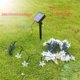 thumbnail image 3 of Luces de cadena de estrellas solares de Navidad al aire libre, luces de cadena LED solares 6.5m 30 luces-8 modos solares coloridos ACTIVE Biensenido a ACTIVE, 3 of 4