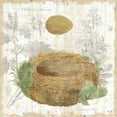 thumbnail image 2 of Hershey, Moira 26x26 Gold Ornate Wood Framed with Double Matting Museum Art Print Titled - Botanical Nest IV, 2 of 4