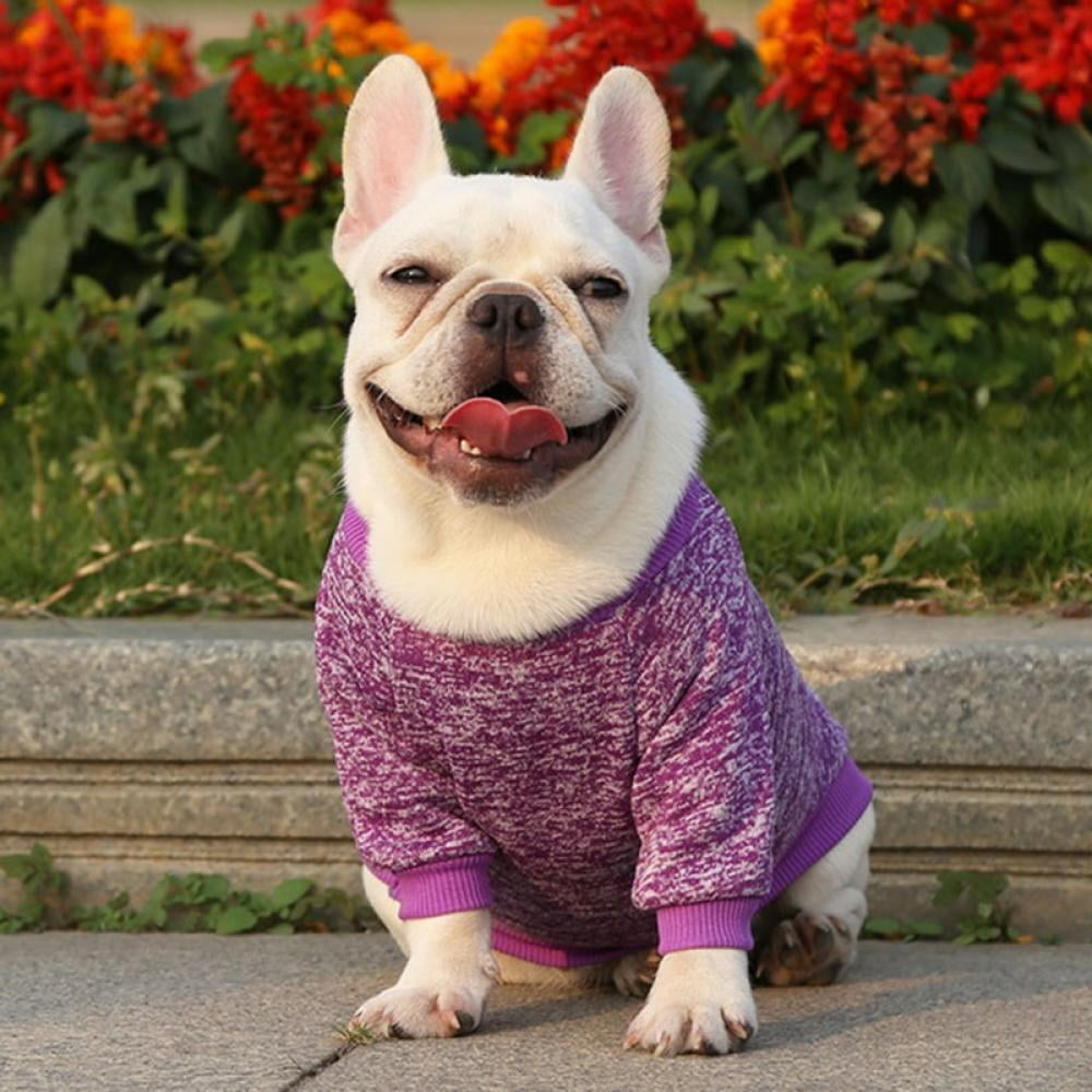 Beige ubest Dog Sweater Warm Jumper Pet Cat Twist Striped Sweater Coat in Autumn Early Winter Puppy Jacket Dogs Clothes M