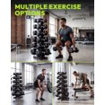 thumbnail image 2 of HANDBODE 6-Tier Dumbbell Rack 600 lb Capacity, A-Frame Weight Stand with Olympic Bar Holder, Heavy Duty 3-in-1 Gym Storage Organizer with Landmine, 2 of 9