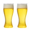 thumbnail image 2 of Host Beer Glass  Freezer Gel Chiller Double Wall Plastic Frozen Pint Glass, 2 of 5