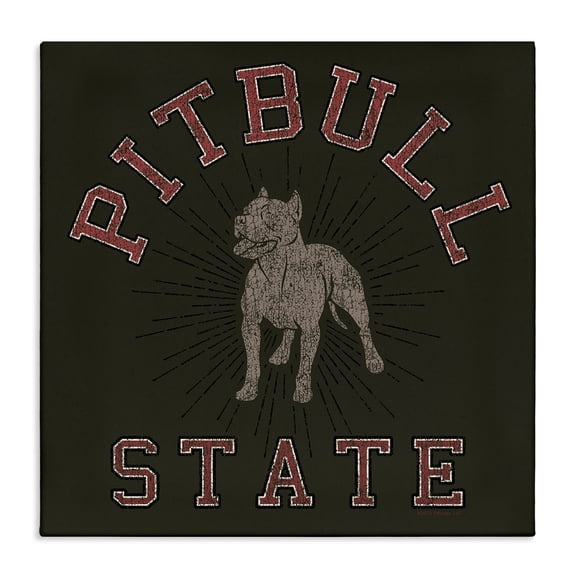 Stupell Industries Traditional Canvas Art, 17 x 17, by Spirit Animals/Life Is High