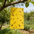 thumbnail image 5 of Double-Sided Yellow Sticky Trap Board for Indoor Outdoor Pest Control, Insect Catcher for Greenhouse Garden Plants, Aphid Whitefly Thrips Killer, Eco-Friendly Bug Trap Panel, 5 of 6