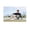 Unframe-style, variant on Jannik Sinner Tennis Poster (34) Canvas Art Poster and Wall Art Picture Print Modern Family bedroom Decor Posters 16x24inch(40x60cm)