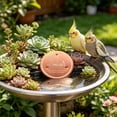thumbnail image 5 of Outdor Copper Disc Bird Bath For Bird Feeders Brass Water Basin Cleaning Disk For Outdoor Bird Bath Bird Feeders For Outdoor Use Copper Bird Bath Cleaner With Protective Coating, 5 of 5