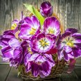 thumbnail image 1 of Flower 5D DIY Full Drill Diamond Painting, 1 of 3