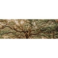 thumbnail image 3 of Rigsby, Jennifer 18x9 Black Modern Framed Museum Art Print Titled - Low Country Oaks I, 3 of 5
