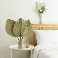 thumbnail image 3 of Dried Palm Leaves Room Decor 5 Pieces - 18Inch H x 10Inch W Large Natural Palm Leaf Decor for A Beautiful Boho Look, 3 of 8